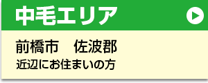 中毛エリア